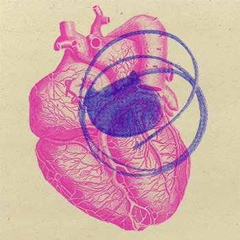 An illustration of a heart with a blue and pink heart.